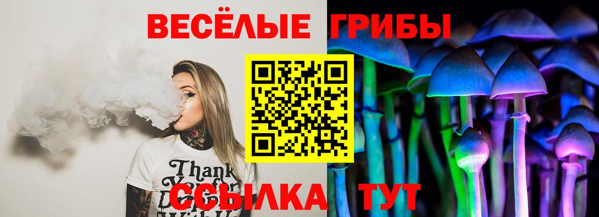 Псилоцибиновые грибы Psilocybe  Псилоцибиновые грибы GOLDEN TEACHER  Вход с VPN  Чехов 